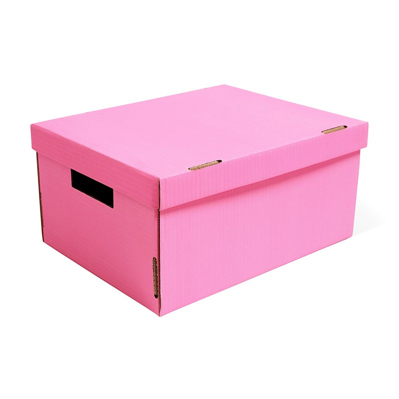 Д20104.0016 Коробка для хранения НЕОН розовый370х280х180