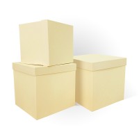 Д11003.055/1 Набор подарочных коробок 3 в 1  тиснение ЛЕН 210x210x210 слоновая кость