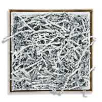 БН156 Бумажный наполнитель ГАЗЕТНЫЙ 50гр