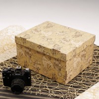 Д20104.0009 Коробка для хранения МОРСКАЯ ИСТОРИЯ 320x260x170